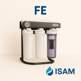 FE